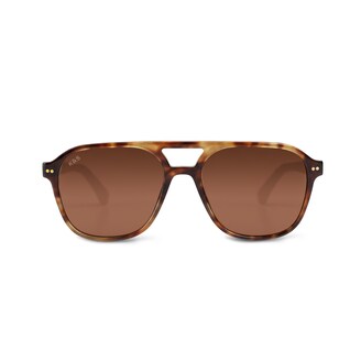 Zurich Oversize, Zurich Oversize Havana Tortoise Brown, Havana Tortoise