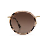 Amsterdam, Amsterdam Sand Tortoise Brown, Sandstone