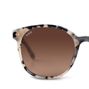 Nairobi, Nairobi Sand Tortoise Brown Sandstone