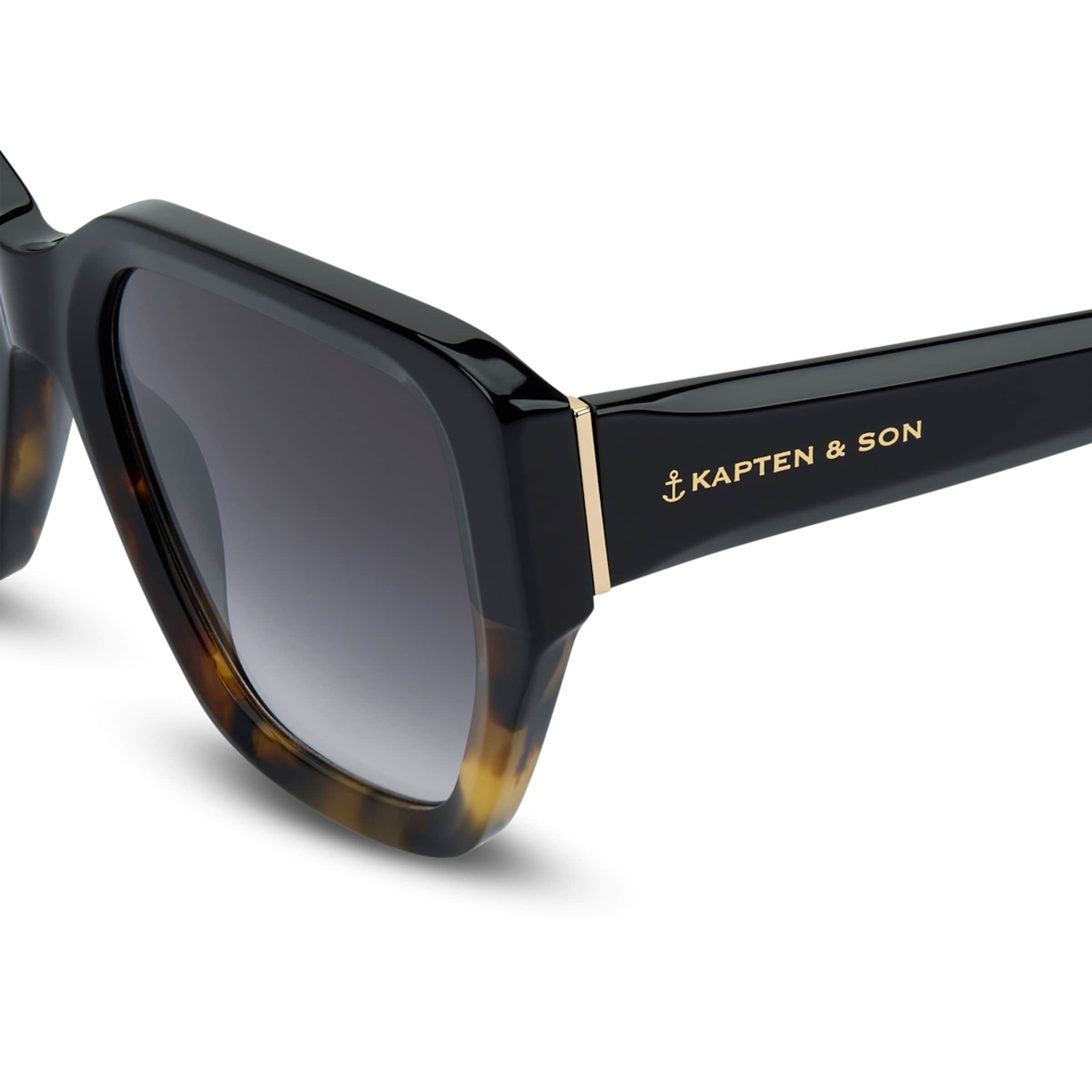 Toulon Tortoise Black