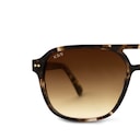 Zurich Oversize, Zurich Oversize Crystal Tortoise Brown Beige