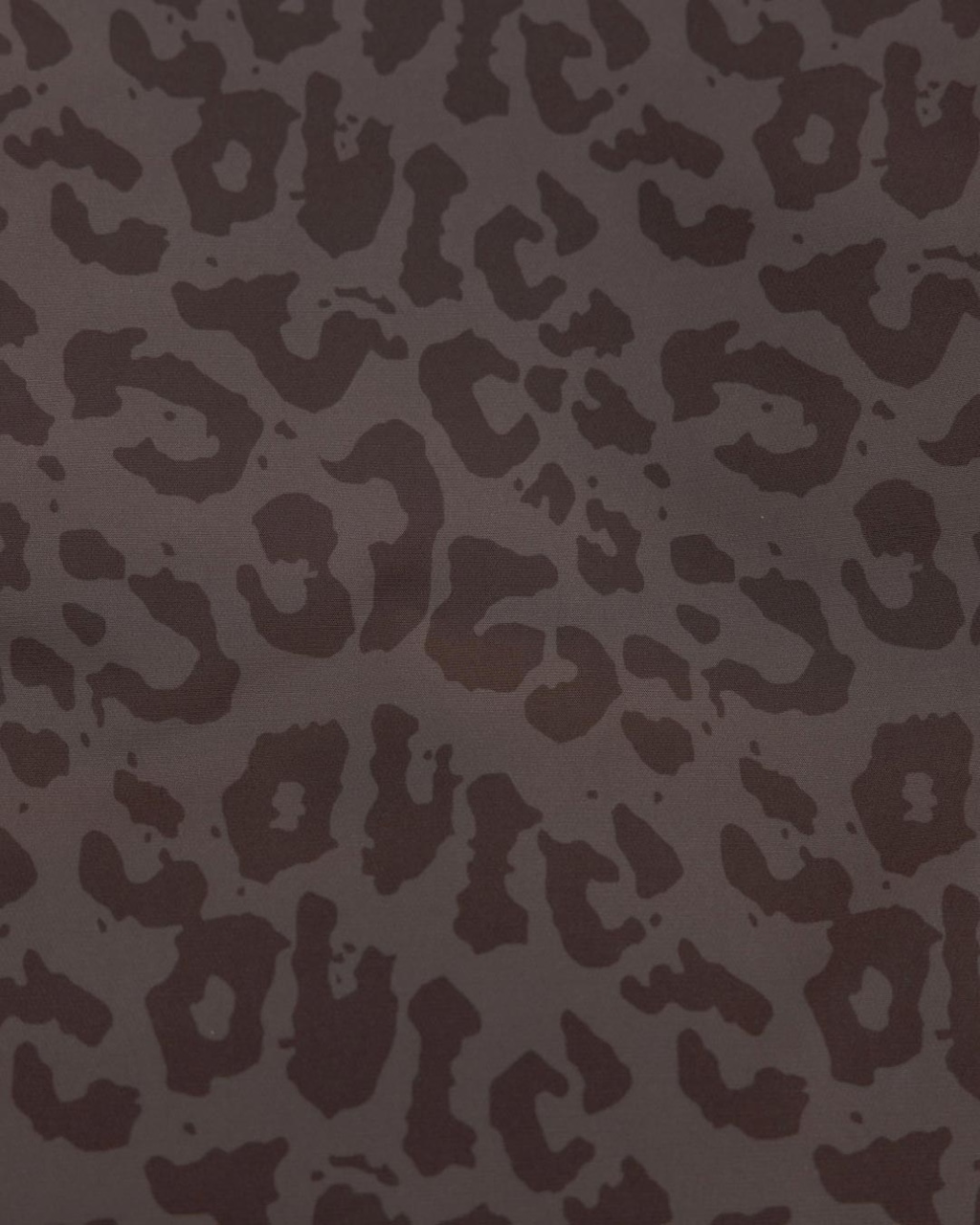 Secondary Images