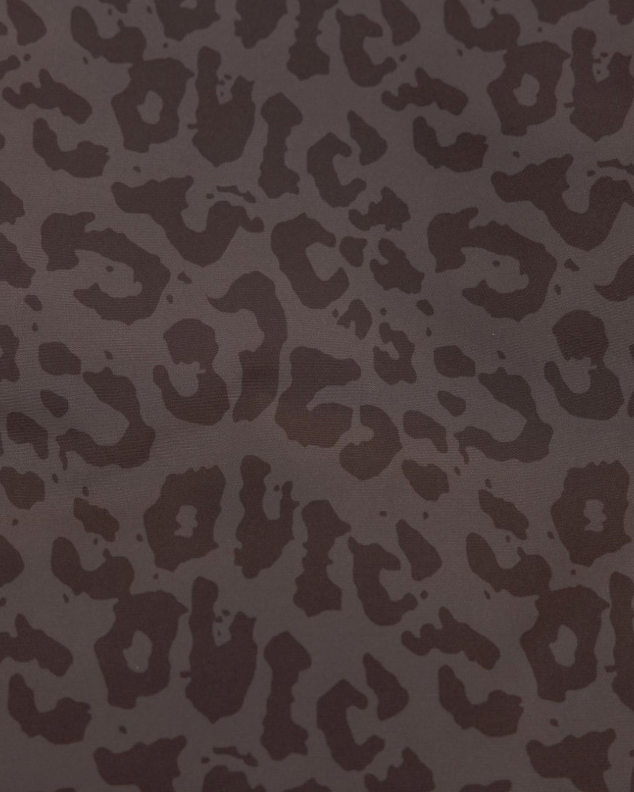 Secondary Images