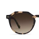Manila, Manila Umber Tortoise Brown Muted Mocha