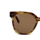 Siena, Siena Havana Tortoise Brown Havana Tortoise