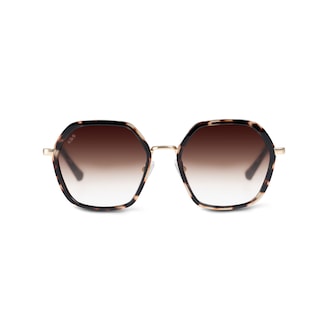 Amsterdam Edge, Amsterdam Edge Umber Tortoise Brown Tortoise