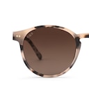 Marais, Marais Sand Tortoise Brown Sandstone